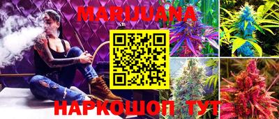 крисы Краснодар