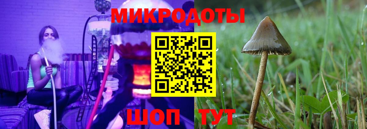 Псилоцибиновые грибы Psilocybe  цены наркотик  Кимовск  Вход с VPN 